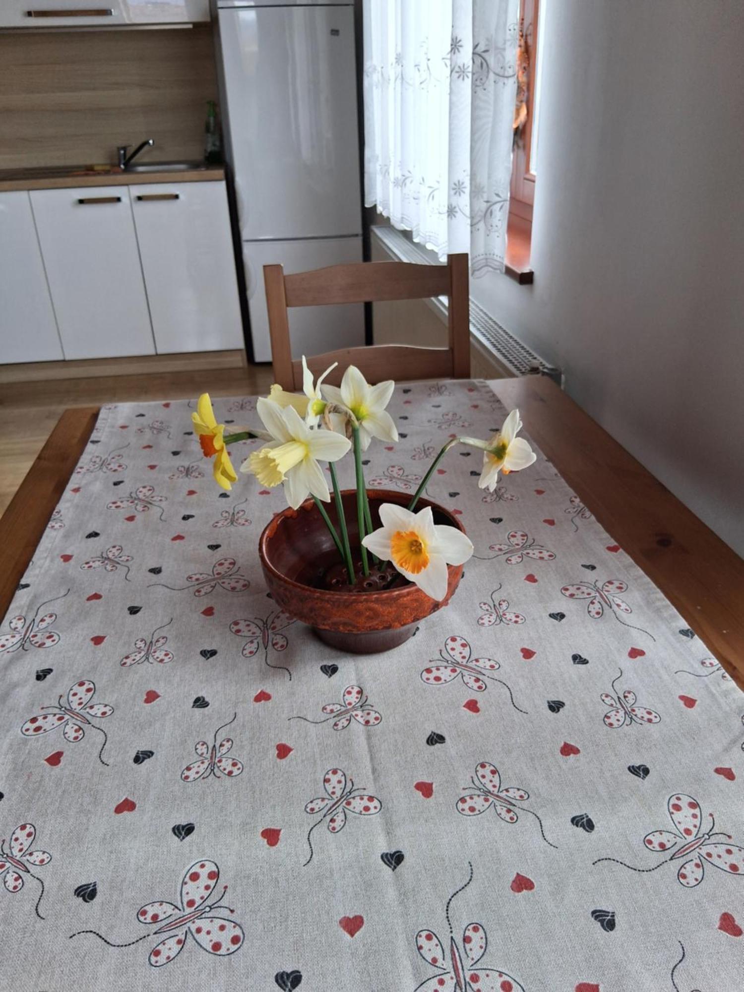 Rooms Apartma Cerknica Exterior photo